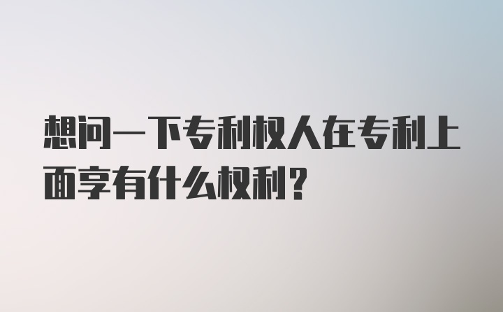 想问一下专利权人在专利上面享有什么权利？