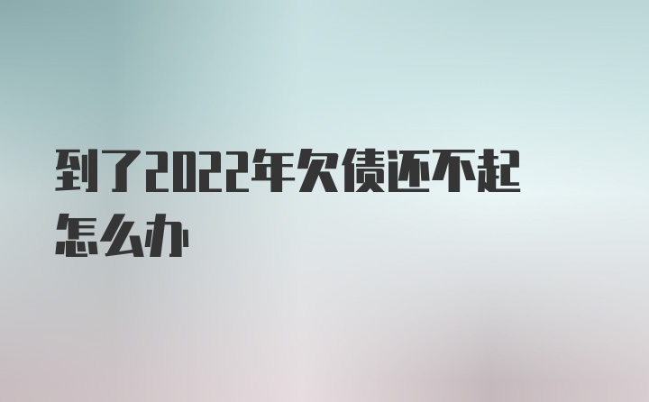 到了2022年欠债还不起怎么办