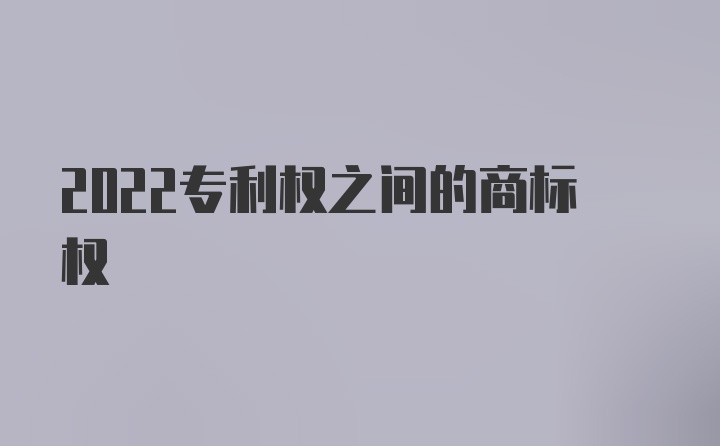 2022专利权之间的商标权