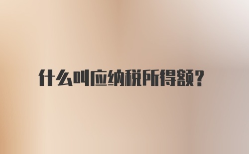 什么叫应纳税所得额？