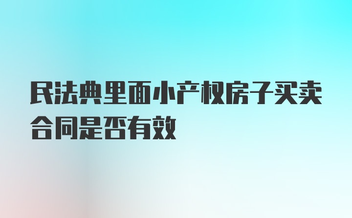 民法典里面小产权房子买卖合同是否有效