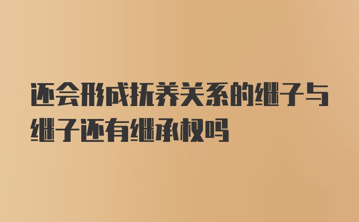 还会形成抚养关系的继子与继子还有继承权吗