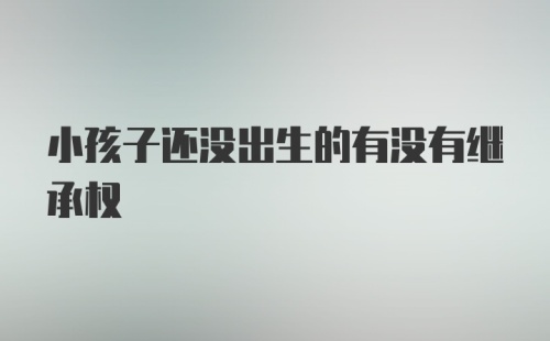 小孩子还没出生的有没有继承权