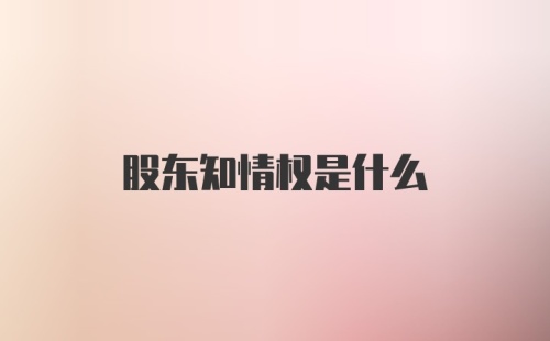 股东知情权是什么