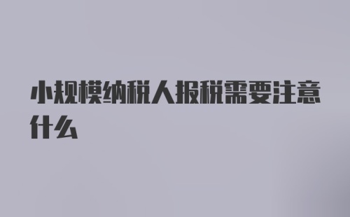 小规模纳税人报税需要注意什么