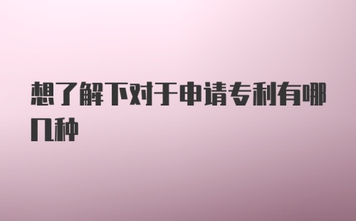 想了解下对于申请专利有哪几种