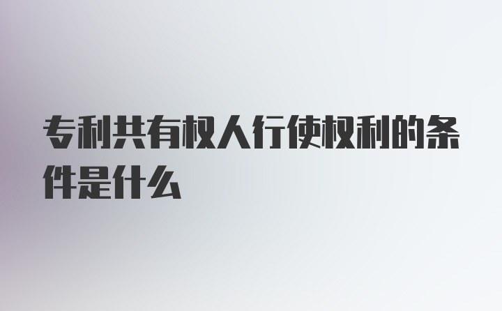 专利共有权人行使权利的条件是什么