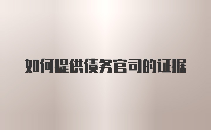 如何提供债务官司的证据