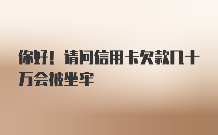 你好！请问信用卡欠款几十万会被坐牢