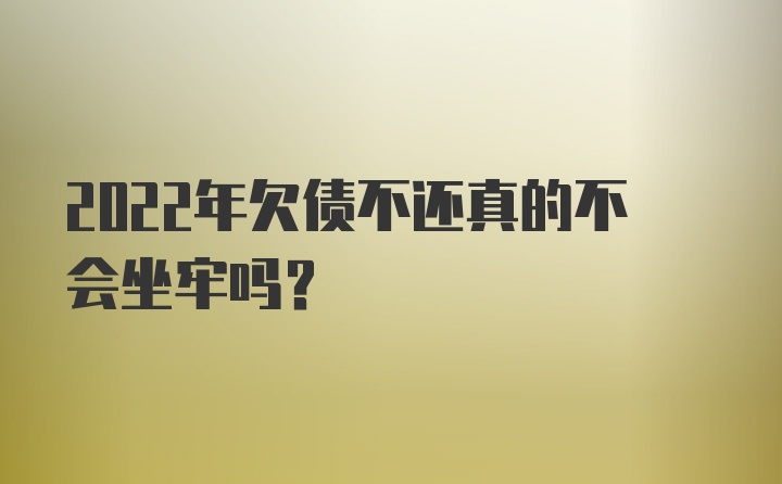 2022年欠债不还真的不会坐牢吗？