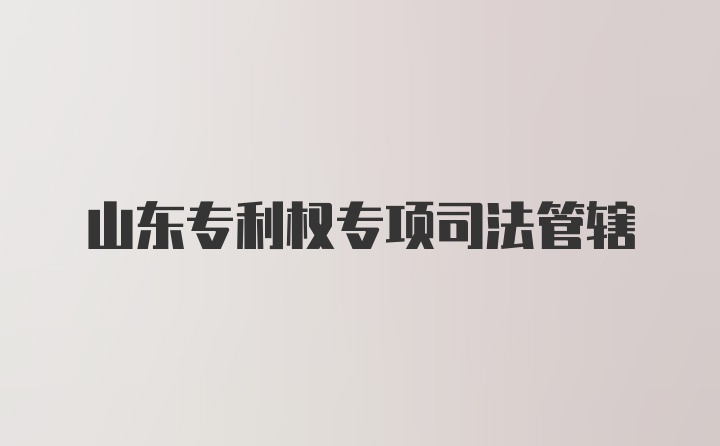 山东专利权专项司法管辖