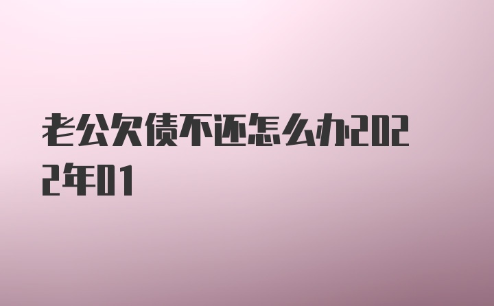 老公欠债不还怎么办2022年01