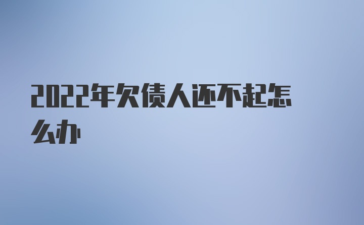 2022年欠债人还不起怎么办