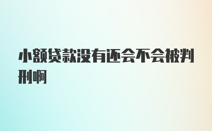 小额贷款没有还会不会被判刑啊