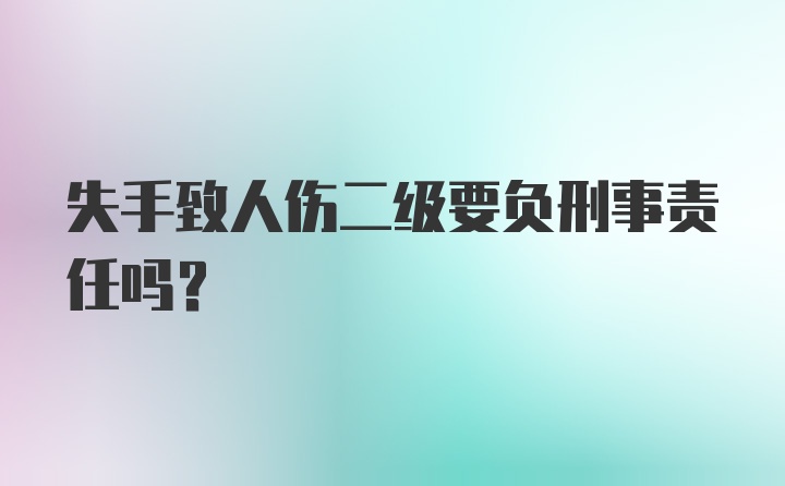 失手致人伤二级要负刑事责任吗?