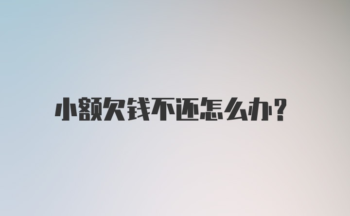 小额欠钱不还怎么办？