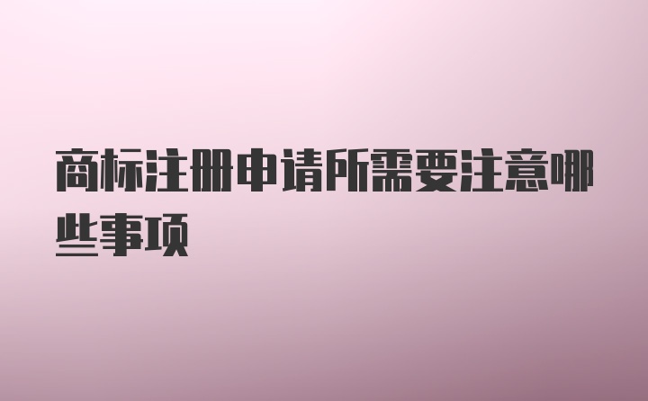 商标注册申请所需要注意哪些事项