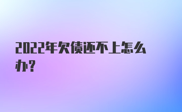 2022年欠债还不上怎么办？