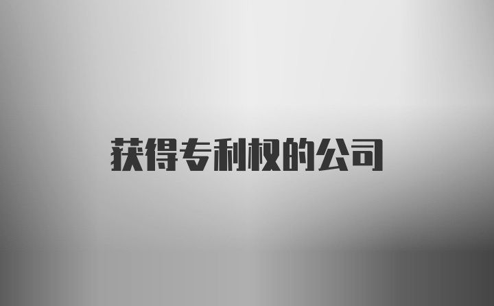 获得专利权的公司