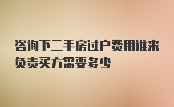 咨询下二手房过户费用谁来负责买方需要多少