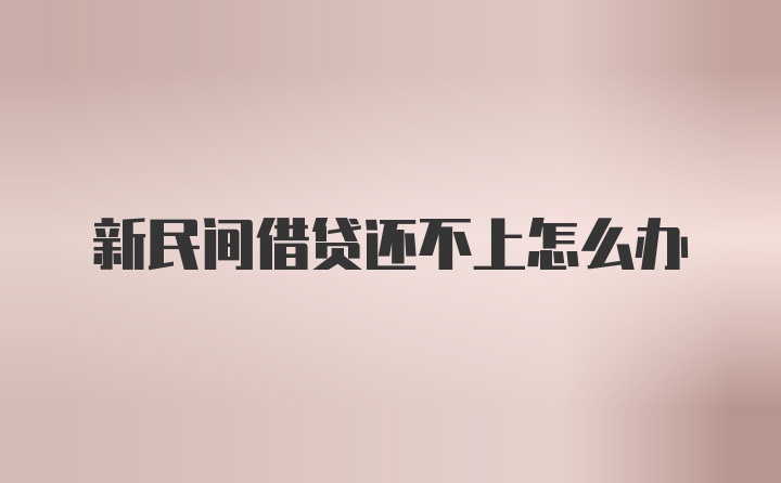 新民间借贷还不上怎么办