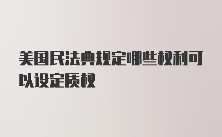 美国民法典规定哪些权利可以设定质权