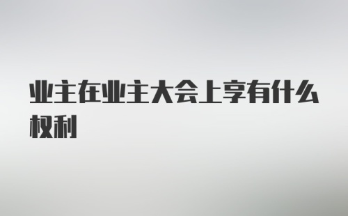 业主在业主大会上享有什么权利