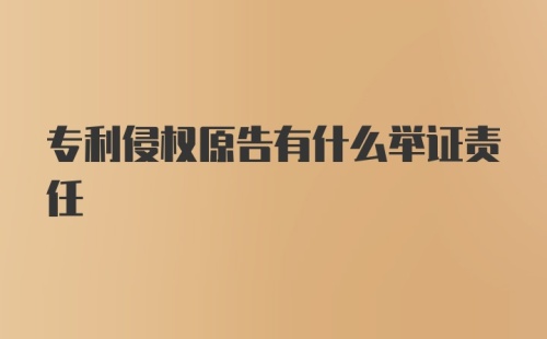 专利侵权原告有什么举证责任