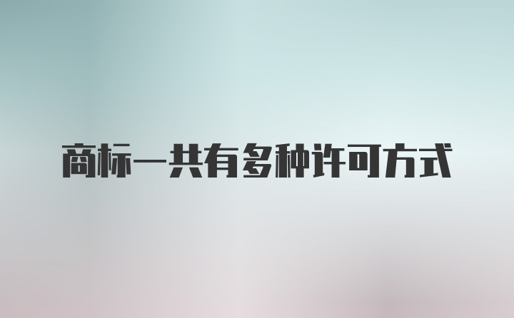 商标一共有多种许可方式