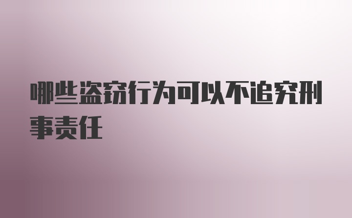 哪些盗窃行为可以不追究刑事责任