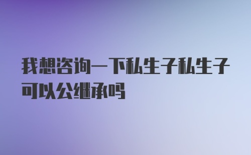 我想咨询一下私生子私生子可以公继承吗