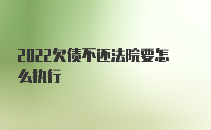 2022欠债不还法院要怎么执行