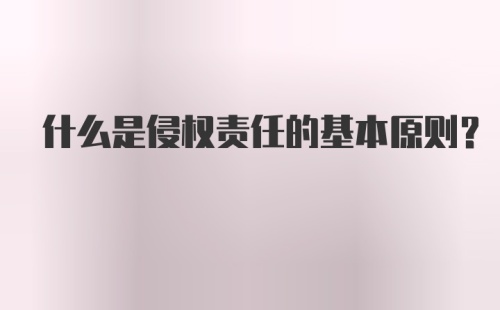 什么是侵权责任的基本原则?