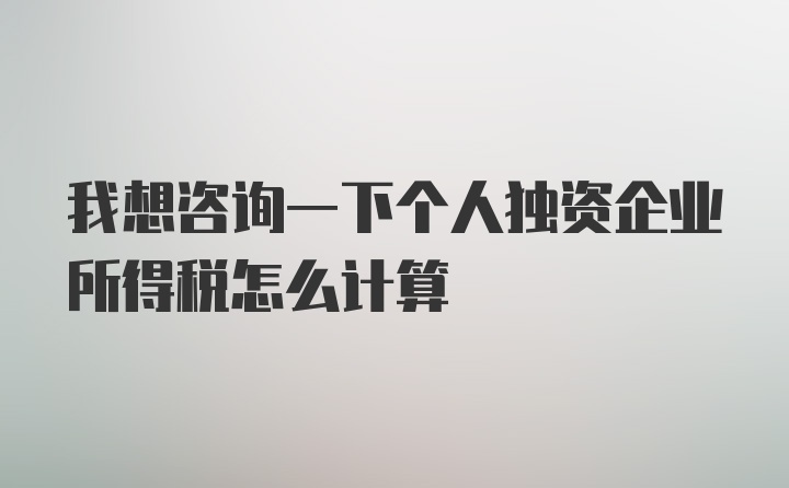 我想咨询一下个人独资企业所得税怎么计算