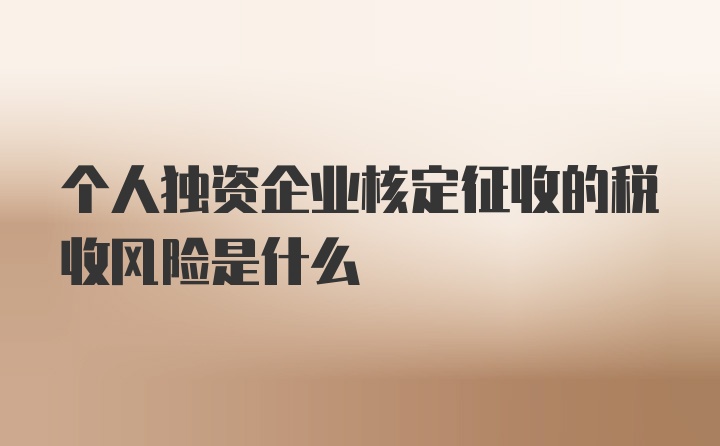 个人独资企业核定征收的税收风险是什么