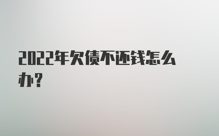 2022年欠债不还钱怎么办？