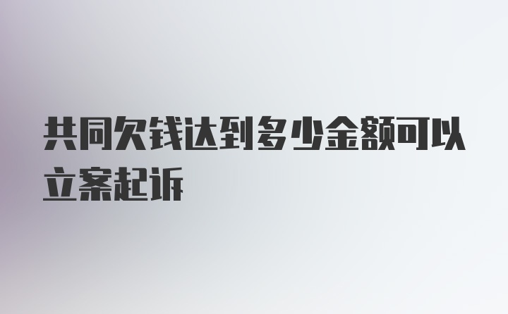 共同欠钱达到多少金额可以立案起诉