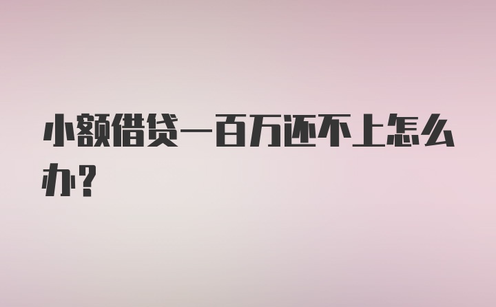 小额借贷一百万还不上怎么办？