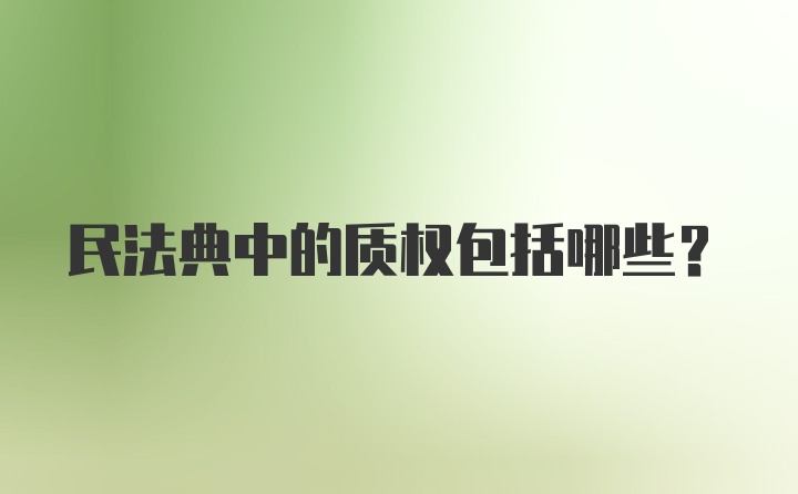 民法典中的质权包括哪些？