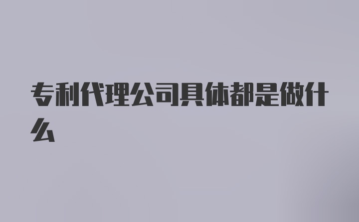 专利代理公司具体都是做什么