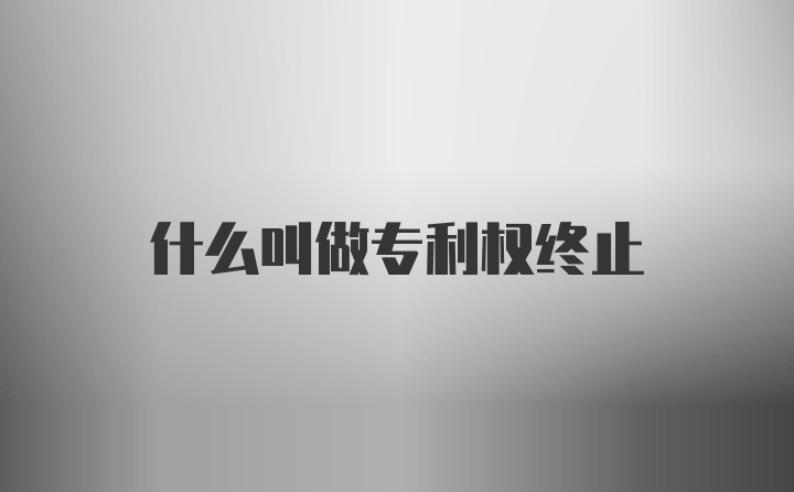 什么叫做专利权终止