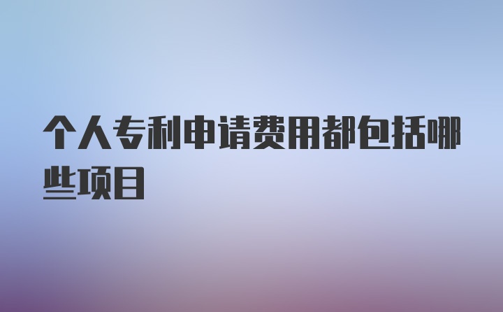 个人专利申请费用都包括哪些项目