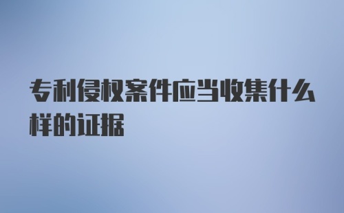 专利侵权案件应当收集什么样的证据