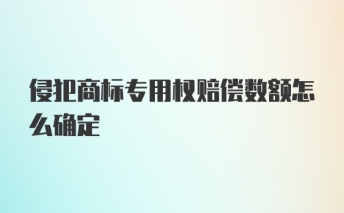 侵犯商标专用权赔偿数额怎么确定