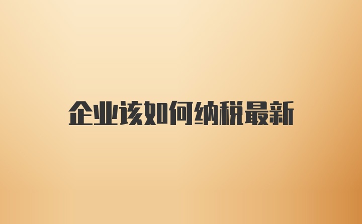 企业该如何纳税最新