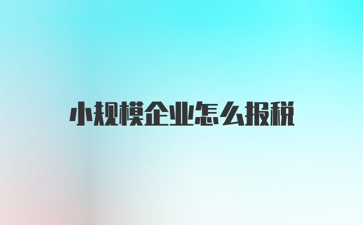 小规模企业怎么报税