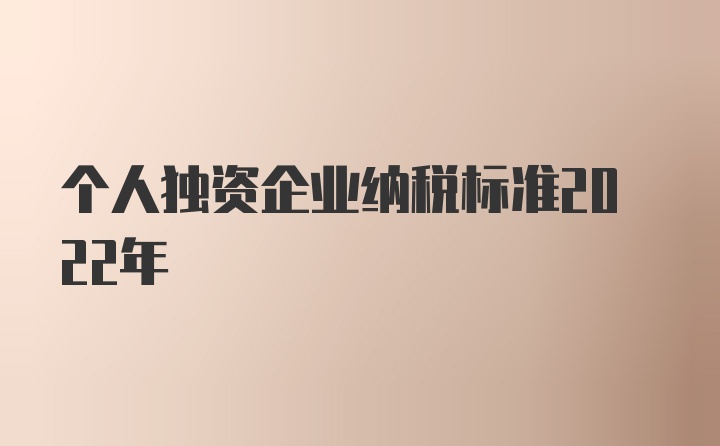 个人独资企业纳税标准2022年