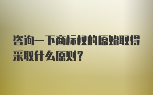 咨询一下商标权的原始取得采取什么原则？