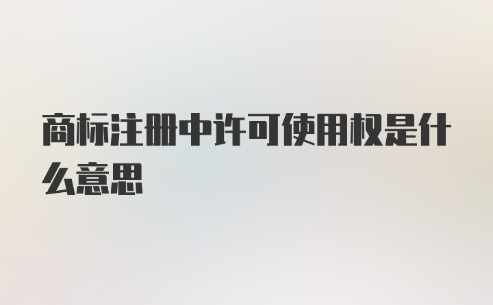 商标注册中许可使用权是什么意思