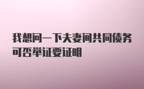 我想问一下夫妻间共同债务可否举证要证明